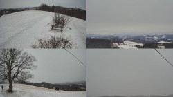 Sdružený snímek Bludný