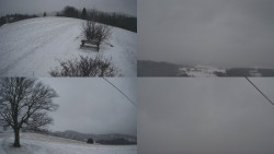 Sdružený snímek Bludný