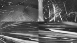 Sdružený snímek Bludný