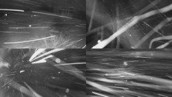 Sdružený snímek Bludný