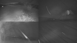 Sdružený snímek Bludný