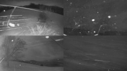 Sdružený snímek Bludný