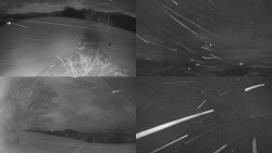 Sdružený snímek Bludný