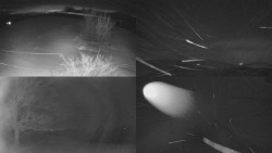 Sdružený snímek Bludný