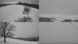 Sdružený snímek Bludný