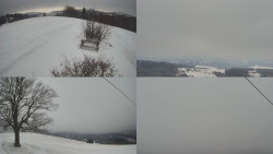 Sdružený snímek Bludný