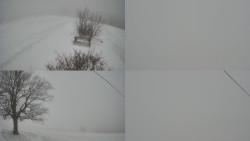 Sdružený snímek Bludný