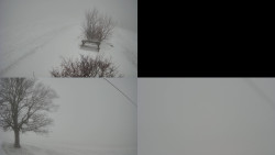 Sdružený snímek Bludný