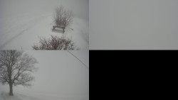 Sdružený snímek Bludný