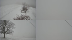 Sdružený snímek Bludný