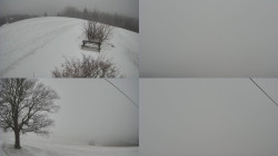 Sdružený snímek Bludný