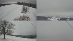 Sdružený snímek Bludný