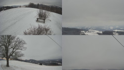 Sdružený snímek Bludný