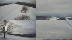 Sdružený snímek Bludný