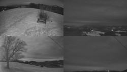 Sdružený snímek Bludný