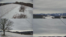 Sdružený snímek Bludný