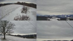 Sdružený snímek Bludný