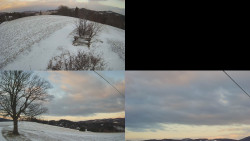 Sdružený snímek Bludný