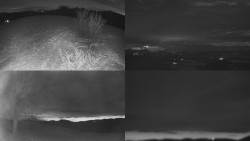 Sdružený snímek Bludný