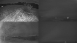 Sdružený snímek Bludný