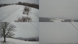 Sdružený snímek Bludný