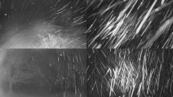 Sdružený snímek Bludný