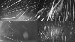 Sdružený snímek Bludný