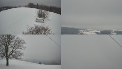 Sdružený snímek Bludný