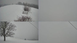 Sdružený snímek Bludný