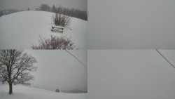 Sdružený snímek Bludný