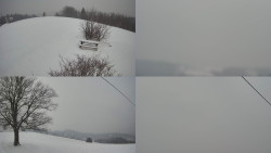 Sdružený snímek Bludný