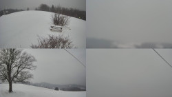 Sdružený snímek Bludný