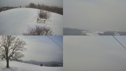 Sdružený snímek Bludný