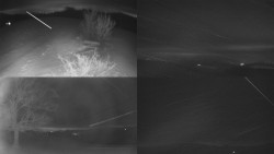 Sdružený snímek Bludný