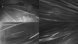 Sdružený snímek Bludný