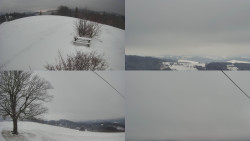 Sdružený snímek Bludný