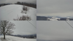 Sdružený snímek Bludný