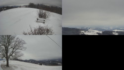 Sdružený snímek Bludný