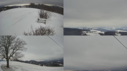 Sdružený snímek Bludný