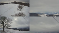 Sdružený snímek Bludný