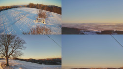 Sdružený snímek Bludný