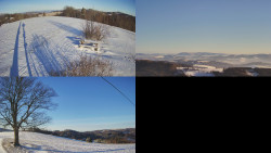 Sdružený snímek Bludný