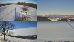 Sdružený snímek Bludný