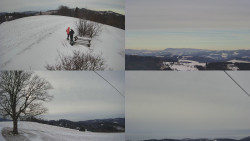 Sdružený snímek Bludný