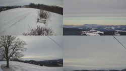 Sdružený snímek Bludný