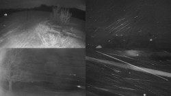 Sdružený snímek Bludný