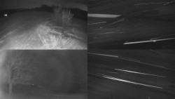 Sdružený snímek Bludný