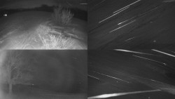 Sdružený snímek Bludný