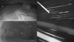 Sdružený snímek Bludný