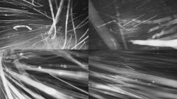 Sdružený snímek Bludný